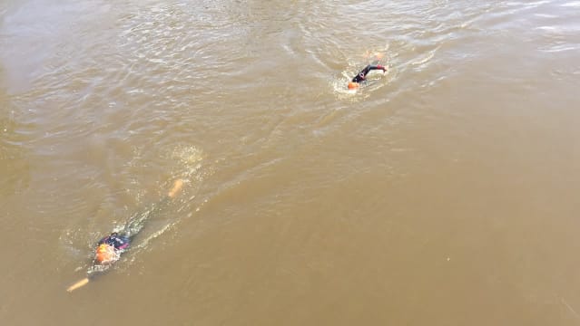 Two swimmers doing front crawl in the River Arun