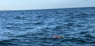 Laura swam from Jersey to France raising £928