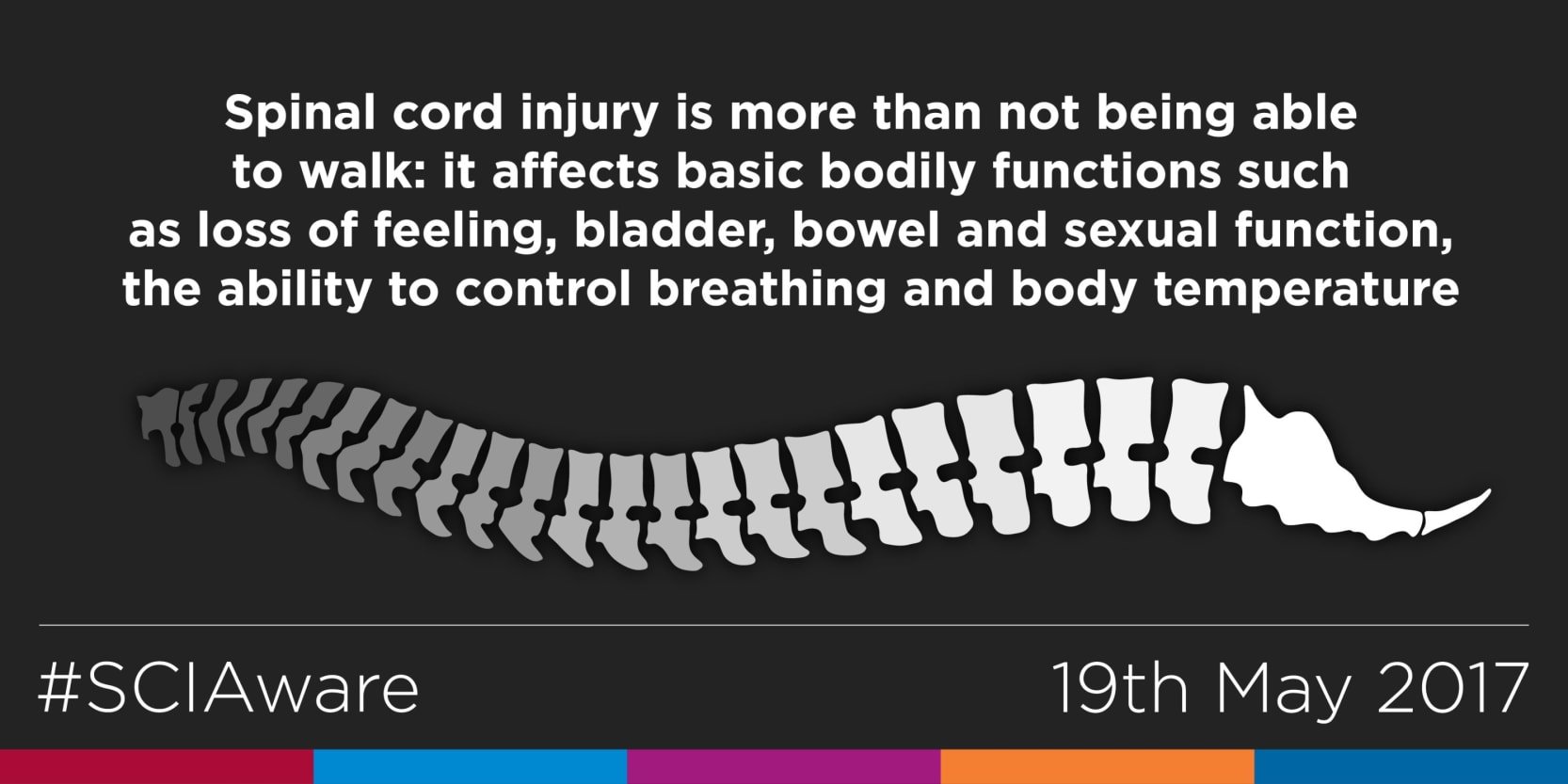 Effects of spinal cord injury