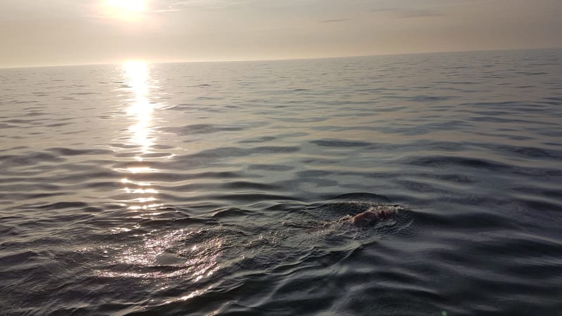 Kevin swimming in the English Channel