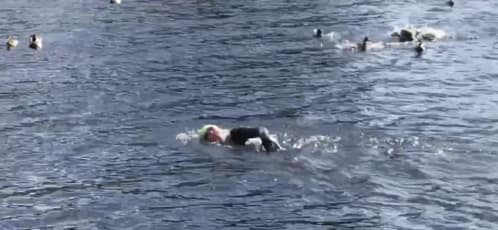 Sue swimming in Lake Bala