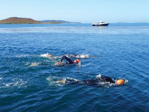 Swimmers in the Scilly Isles