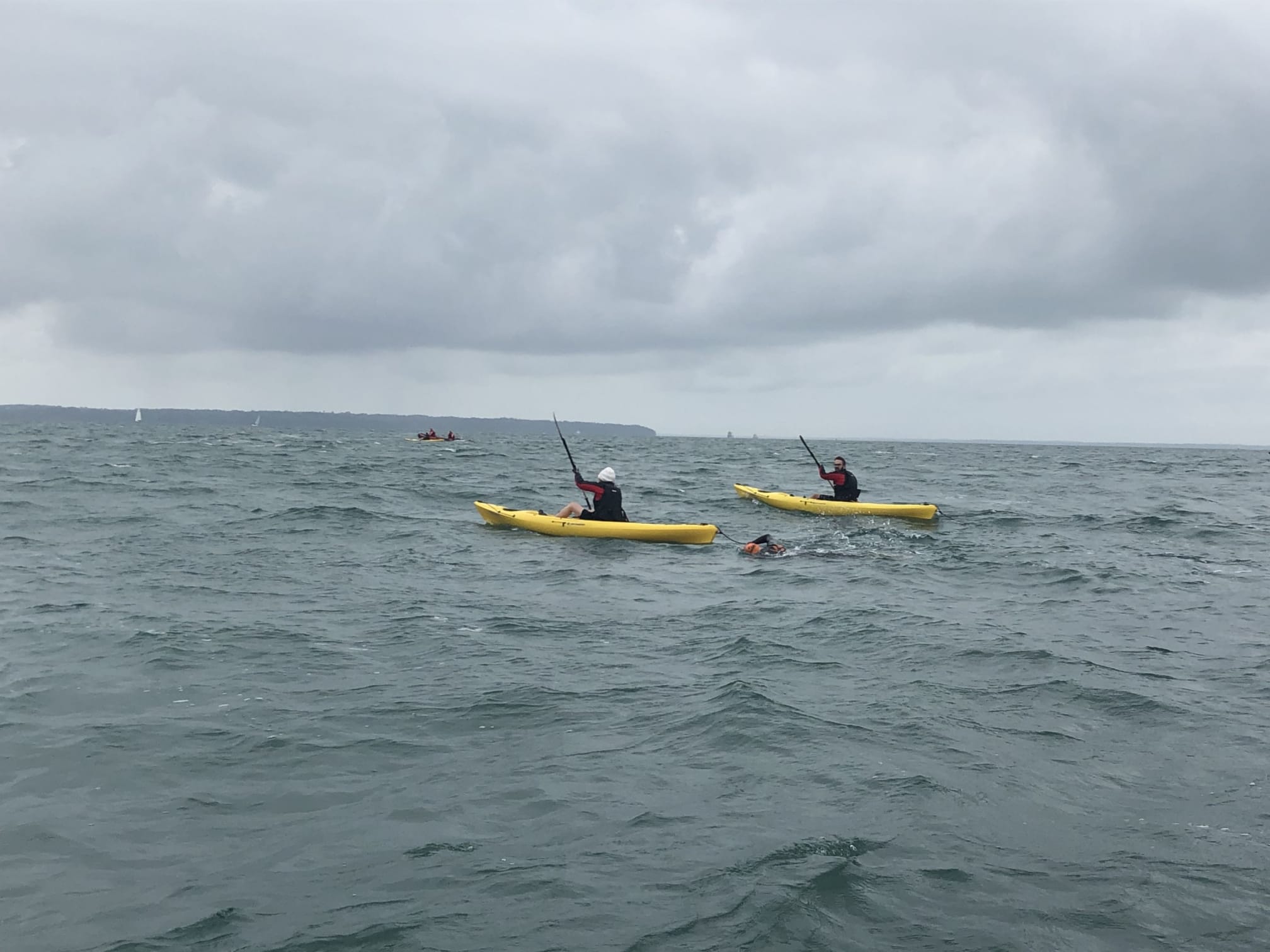 Billy swimming with a kayaker in front and another alongside